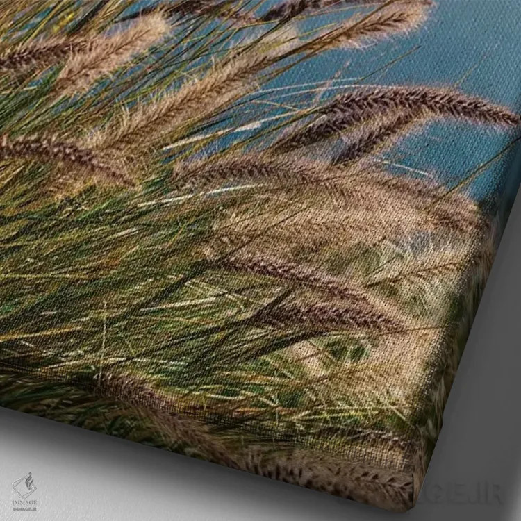 تابلو بیگ سور وحشی دو اثر بثانی یانگ - نمای نزدیک بافت بوم