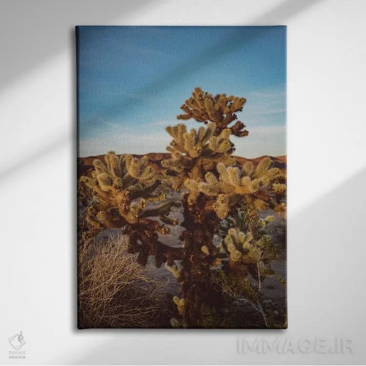 تابلو باغ کاکتوس چولا اثر بثانی یانگ - نمای روبهرو روی دیوار