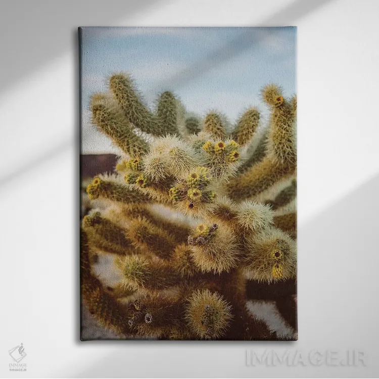تابلو باغ کاکتوس چولا چهار اثر بثانی یانگ - نمای روبهرو روی دیوار