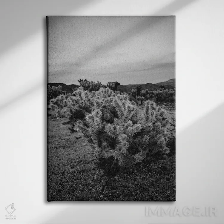 تابلو باغ کاکتوس چولا نُه اثر بثانی یانگ - نمای روبهرو روی دیوار