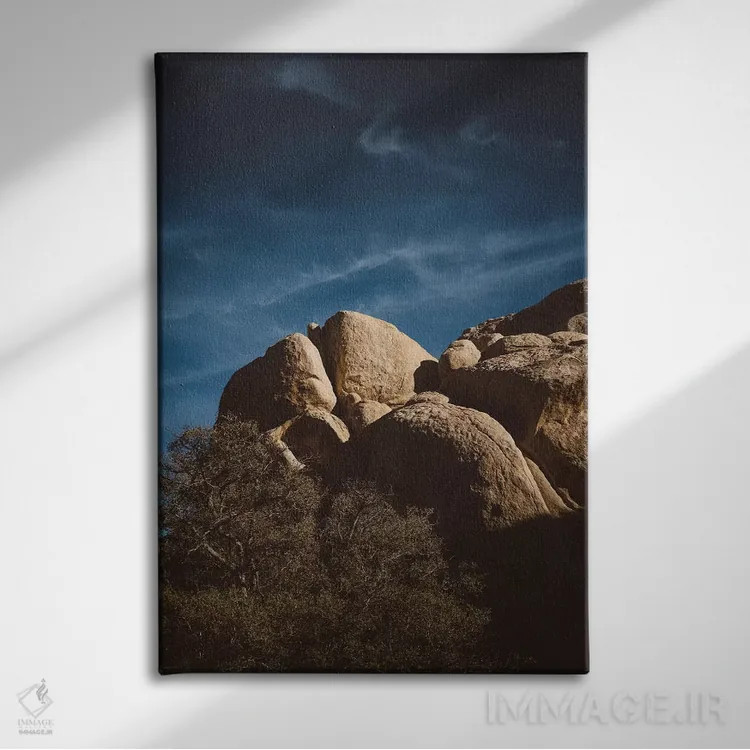 تابلو پارک ملی جاشوا تری سیزده اثر بثانی یانگ - نمای روبهرو روی دیوار