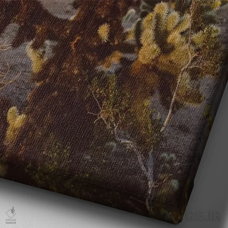 تابلو باغ کاکتوس چولا اثر بثانی یانگ - نمای نزدیک بافت بوم