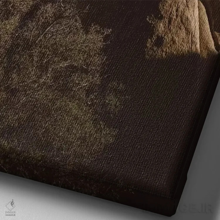 تابلو پارک ملی جاشوا تری سیزده اثر بثانی یانگ - نمای نزدیک بافت بوم