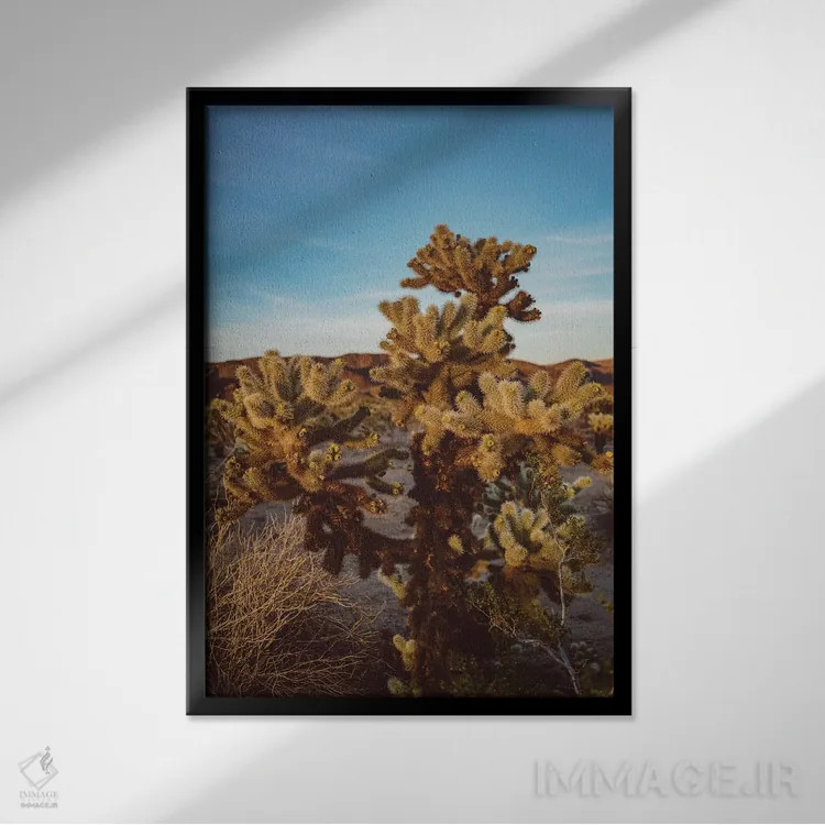 تابلو باغ کاکتوس چولا اثر بثانی یانگ - نمای قابدار مشکی