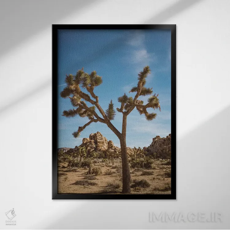 تابلو پارک ملی جاشوا تری دو اثر بثانی یانگ - نمای قابدار مشکی