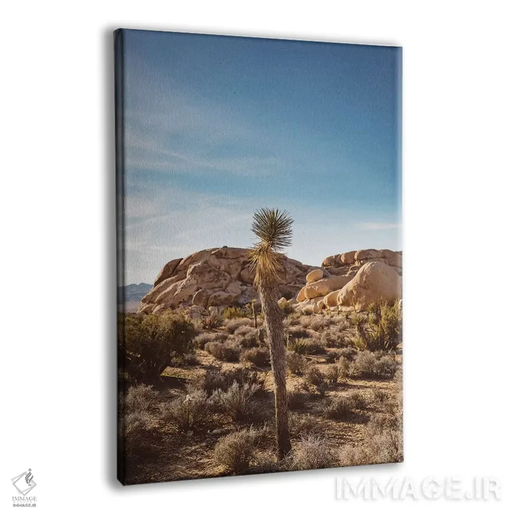 تابلو پارک ملی جاشوا تری هفده اثر بثانی یانگ - نمای پرسپکتیو محصول