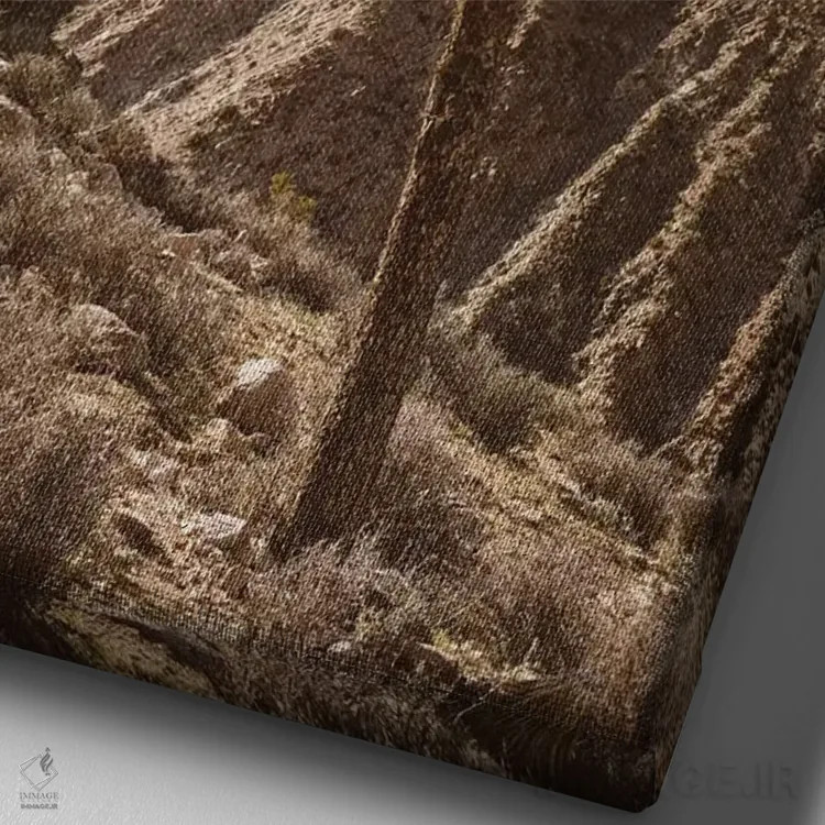 تابلو پارک ملی جاشوا تری پنج اثر بثانی یانگ - نمای نزدیک بافت بوم