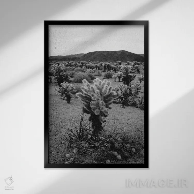 تابلو باغ کاکتوس چولا پنج اثر بثانی یانگ - نمای قابدار مشکی