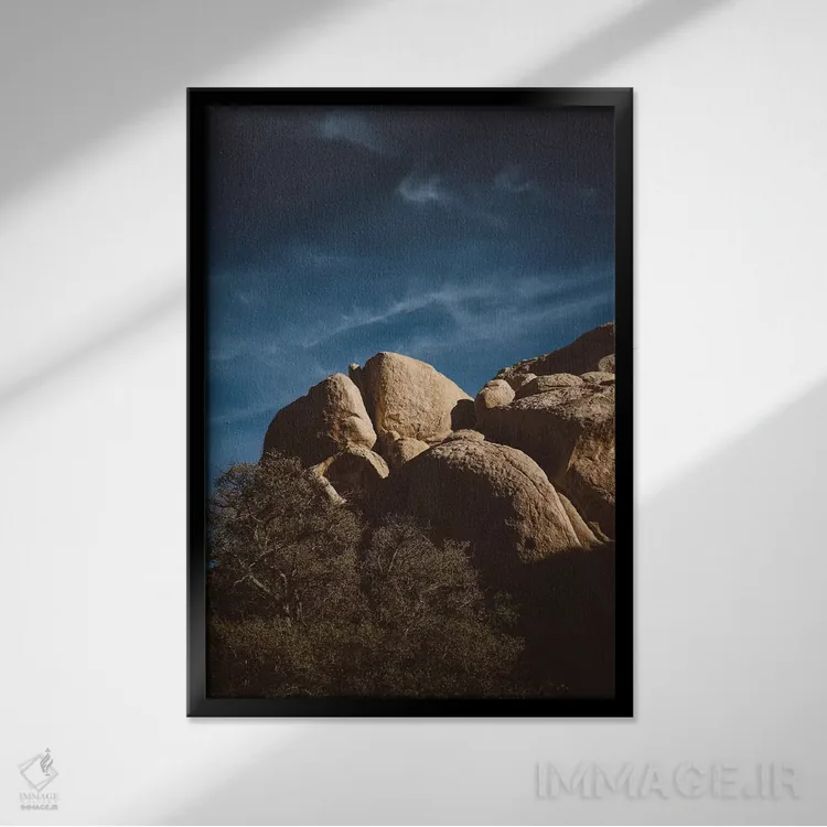 تابلو پارک ملی جاشوا تری سیزده اثر بثانی یانگ - نمای قابدار مشکی