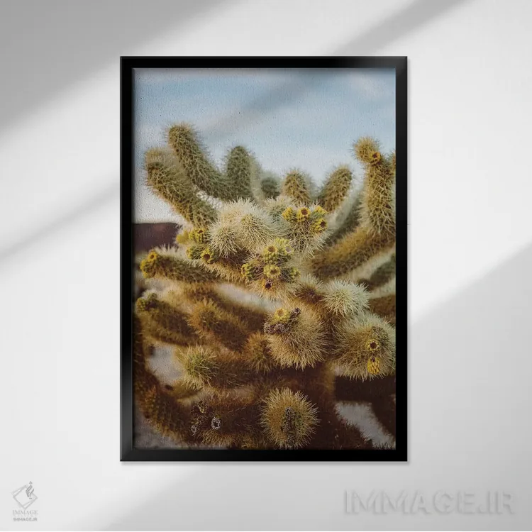 تابلو باغ کاکتوس چولا چهار اثر بثانی یانگ - نمای قابدار مشکی