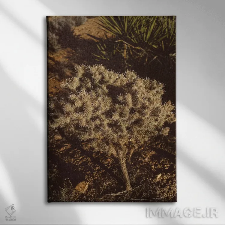 تابلو پارک ملی جاشوا تری نوزده اثر بثانی یانگ - نمای روبهرو روی دیوار