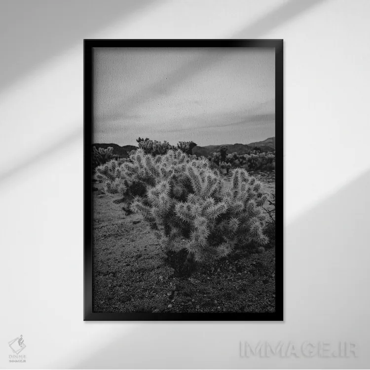 تابلو باغ کاکتوس چولا نُه اثر بثانی یانگ - نمای قابدار مشکی