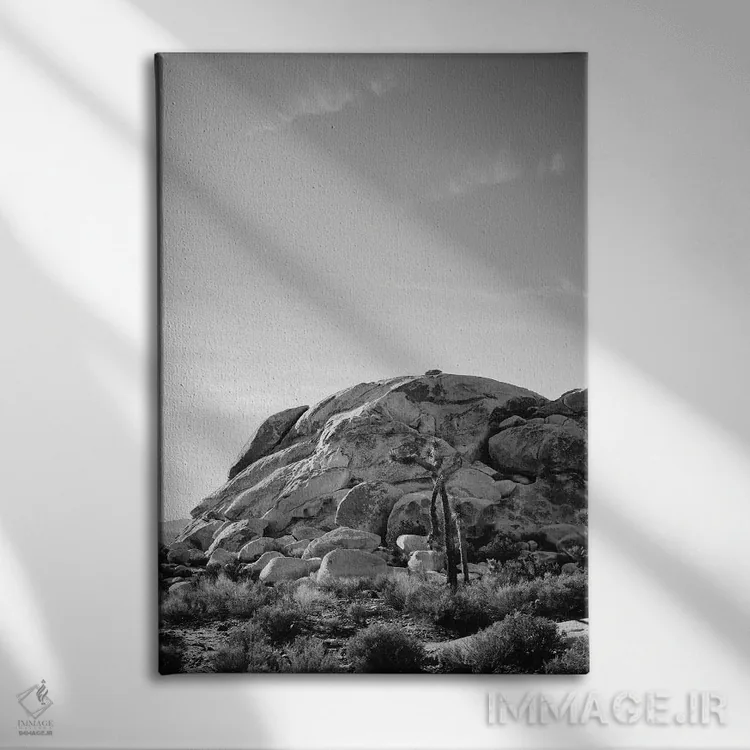 تابلو پارک ملی جاشوا تری پانزده اثر بثانی یانگ - نمای روبهرو روی دیوار