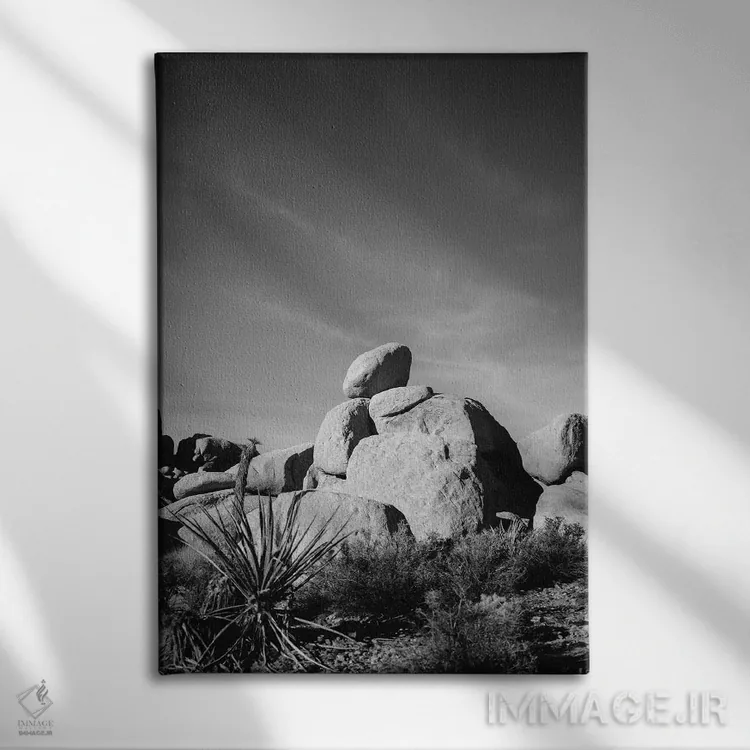 تابلو پارک ملی جاشوا تری چهارده اثر بثانی یانگ - نمای روبهرو روی دیوار