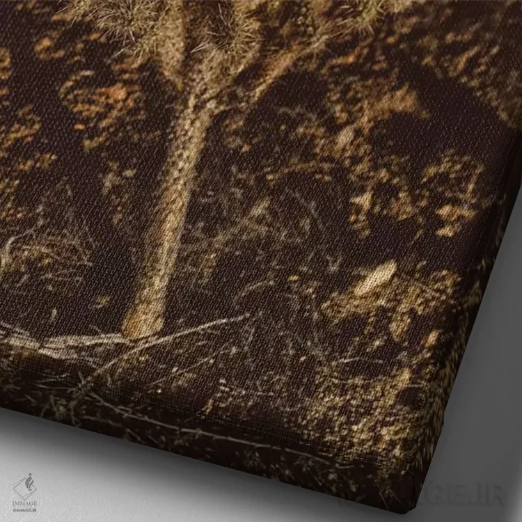 تابلو پارک ملی جاشوا تری نوزده اثر بثانی یانگ - نمای نزدیک بافت بوم