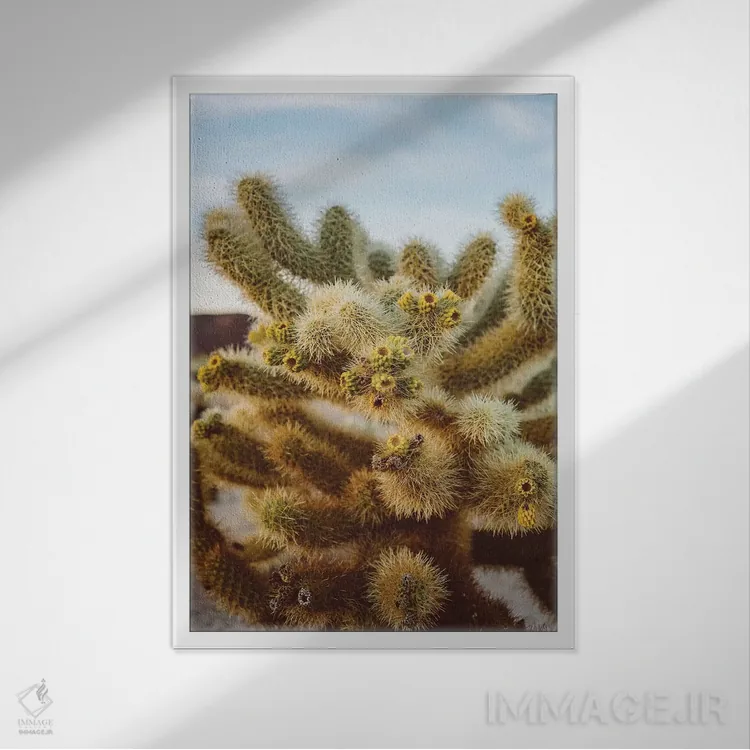 تابلو باغ کاکتوس چولا چهار اثر بثانی یانگ - نمای قابدار سفید