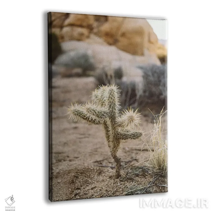 تابلو پارک ملی جاشوا تری شانزدهم اثر بثانی یانگ - نمای پرسپکتیو محصول