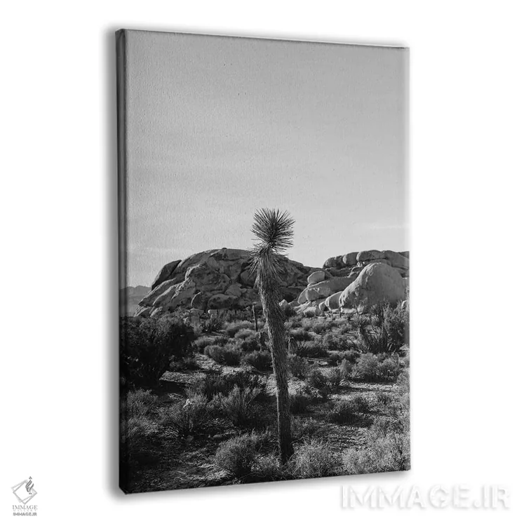 تابلو پارک ملی جاشوا تری هجده اثر بثانی یانگ - نمای پرسپکتیو محصول