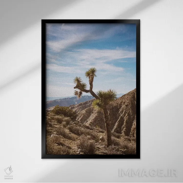 تابلو پارک ملی جاشوا تری پنج اثر بثانی یانگ - نمای قابدار مشکی