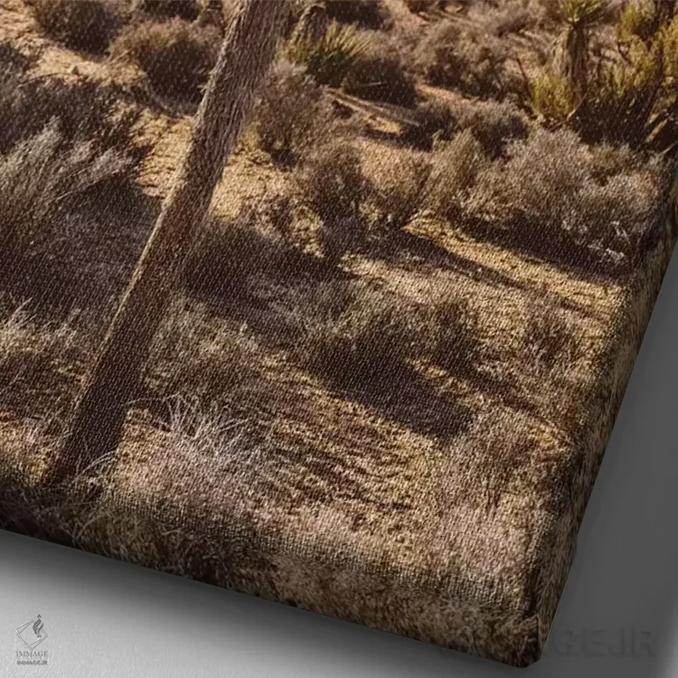 تابلو پارک ملی جاشوا تری هفده اثر بثانی یانگ - نمای نزدیک بافت بوم