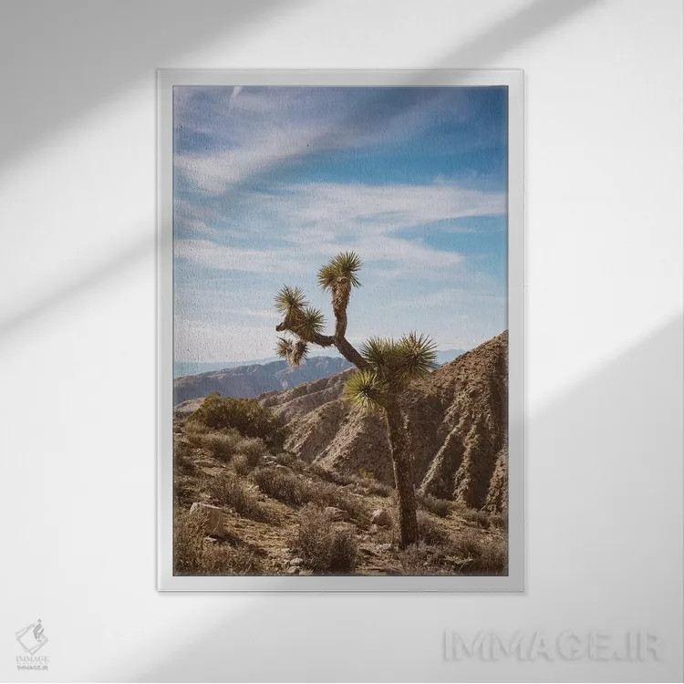 تابلو پارک ملی جاشوا تری پنج اثر بثانی یانگ - نمای قابدار سفید