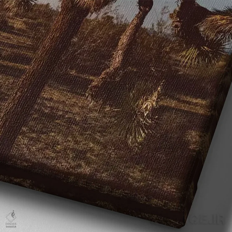 تابلو پارک ملی جاشوا تری بیست اثر بثانی یانگ - نمای نزدیک بافت بوم