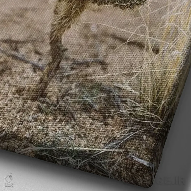 تابلو پارک ملی جاشوا تری شانزدهم اثر بثانی یانگ - نمای نزدیک بافت بوم