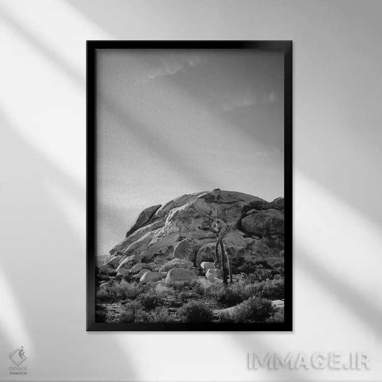 تابلو پارک ملی جاشوا تری پانزده اثر بثانی یانگ - نمای قابدار مشکی