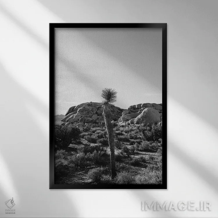 تابلو پارک ملی جاشوا تری هجده اثر بثانی یانگ - نمای قابدار مشکی