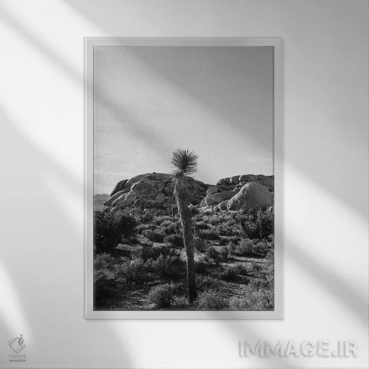 تابلو پارک ملی جاشوا تری هجده اثر بثانی یانگ - نمای قابدار سفید