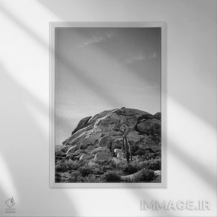 تابلو پارک ملی جاشوا تری پانزده اثر بثانی یانگ - نمای قابدار سفید