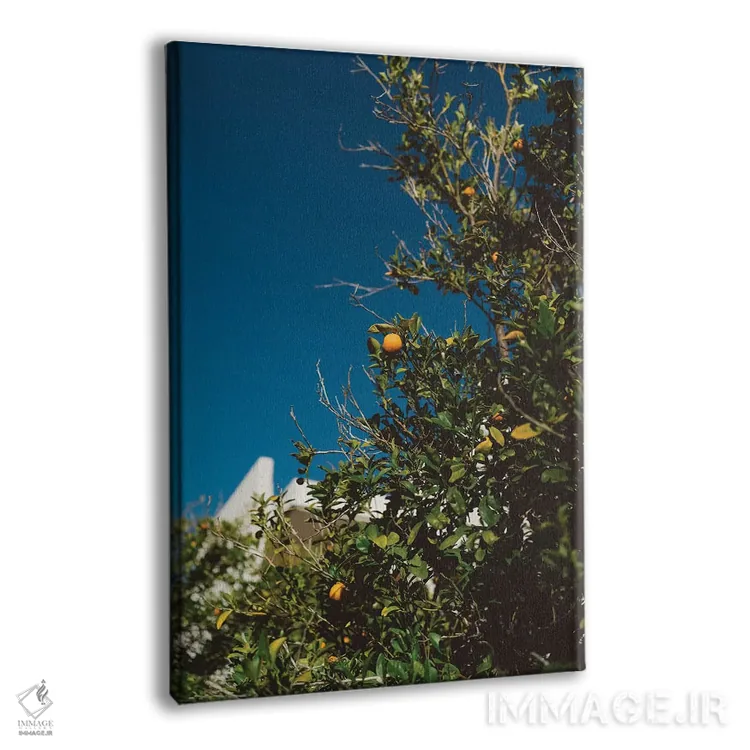 تابلو درخت پرتقال کالیفرنیا اثر بثانی یانگ - نمای پرسپکتیو محصول