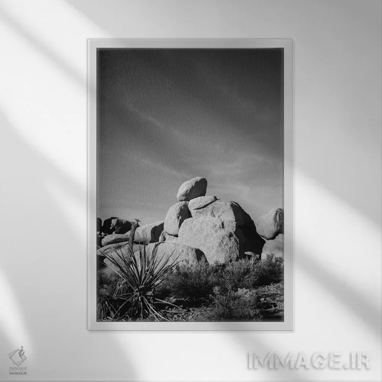 تابلو پارک ملی جاشوا تری چهارده اثر بثانی یانگ - نمای قابدار سفید