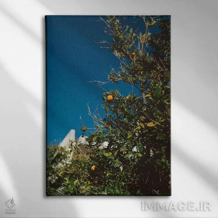 تابلو درخت پرتقال کالیفرنیا اثر بثانی یانگ - نمای روبهرو روی دیوار