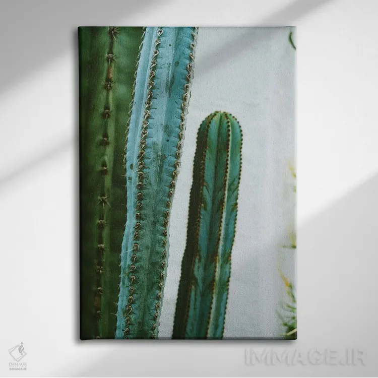تابلو باغ کاکتوس کالیفرنیا دوم اثر بثانی یانگ - نمای روبهرو روی دیوار