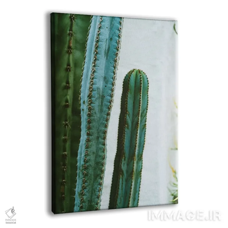تابلو باغ کاکتوس کالیفرنیا دوم اثر بثانی یانگ - نمای پرسپکتیو محصول