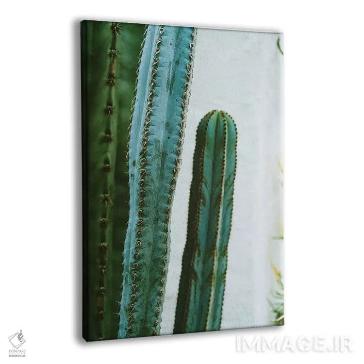 تابلو باغ کاکتوس کالیفرنیا دوم اثر بثانی یانگ - نمای پرسپکتیو محصول