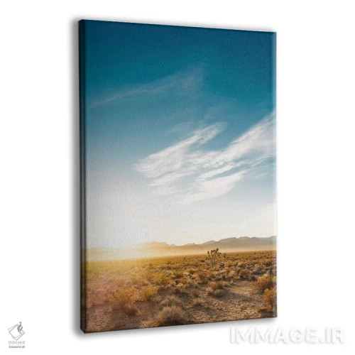 تابلو طلوع بیابان نوادا اثر بثانی یانگ - نمای پرسپکتیو محصول