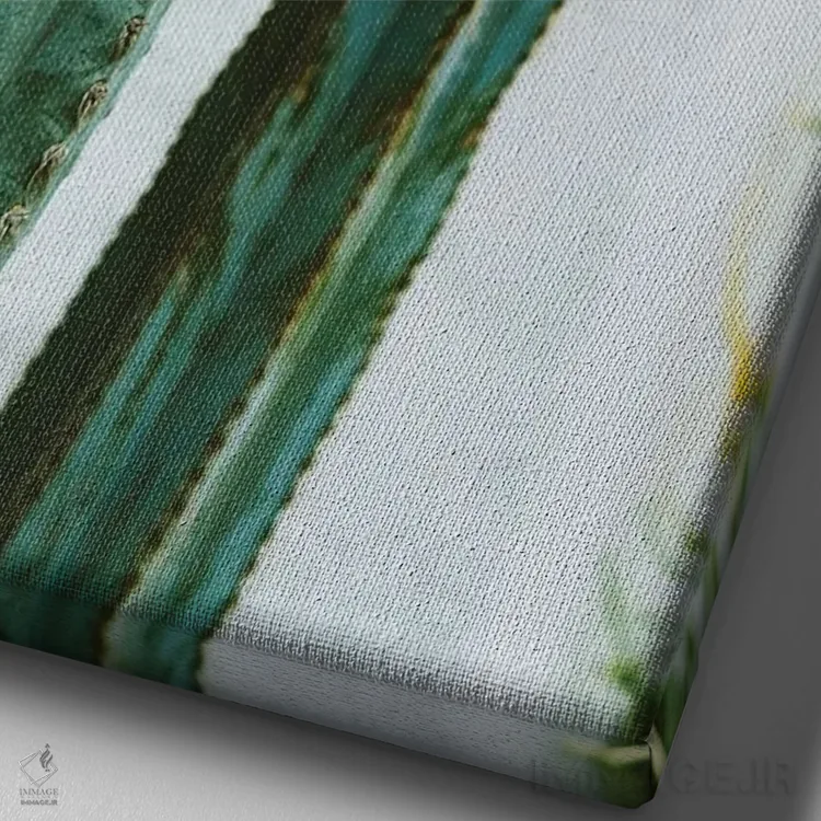 تابلو باغ کاکتوس کالیفرنیا دوم اثر بثانی یانگ - نمای نزدیک بافت بوم