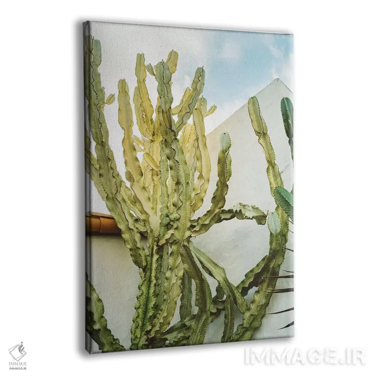 تابلو کاکتوس کالیفرنیا اثر بثانی یانگ - نمای پرسپکتیو محصول