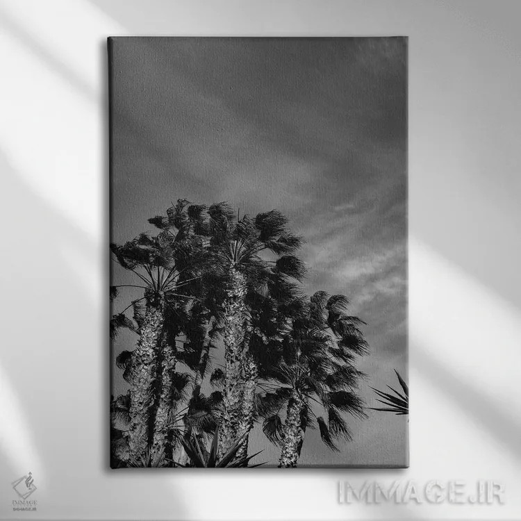 تابلو آسمان سیاه و سفید کالیفرنیا اثر بثانی یانگ - نمای روبهرو روی دیوار