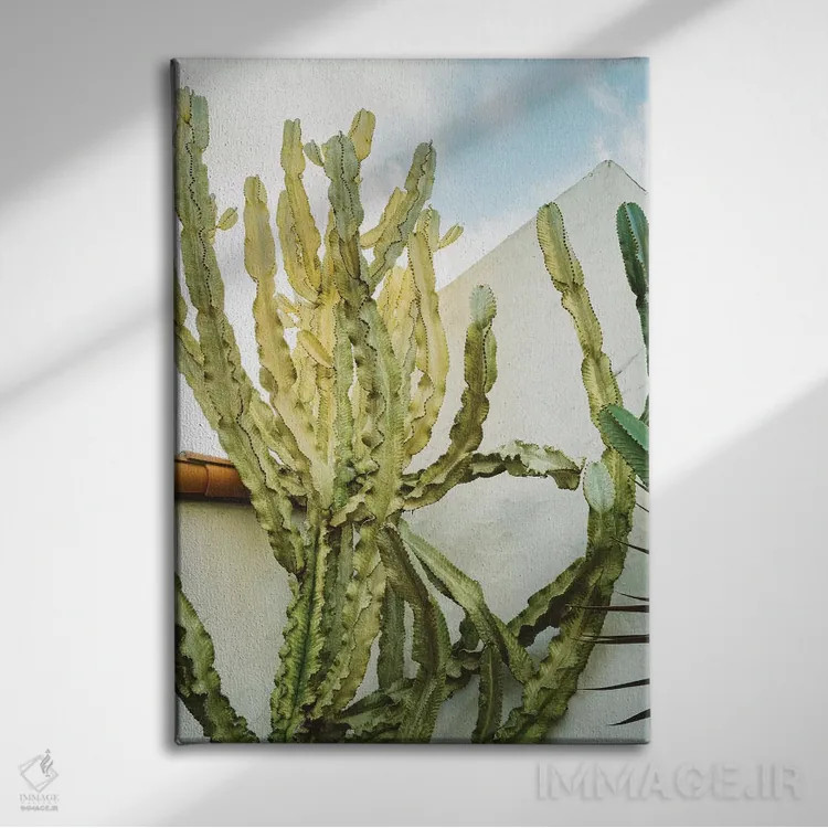 تابلو کاکتوس کالیفرنیا اثر بثانی یانگ - نمای روبهرو روی دیوار