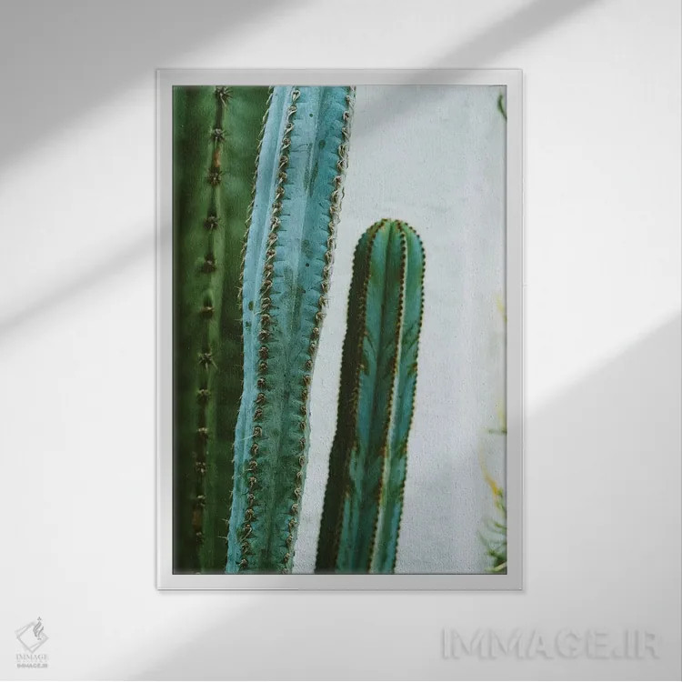 تابلو باغ کاکتوس کالیفرنیا دوم اثر بثانی یانگ - نمای قابدار سفید