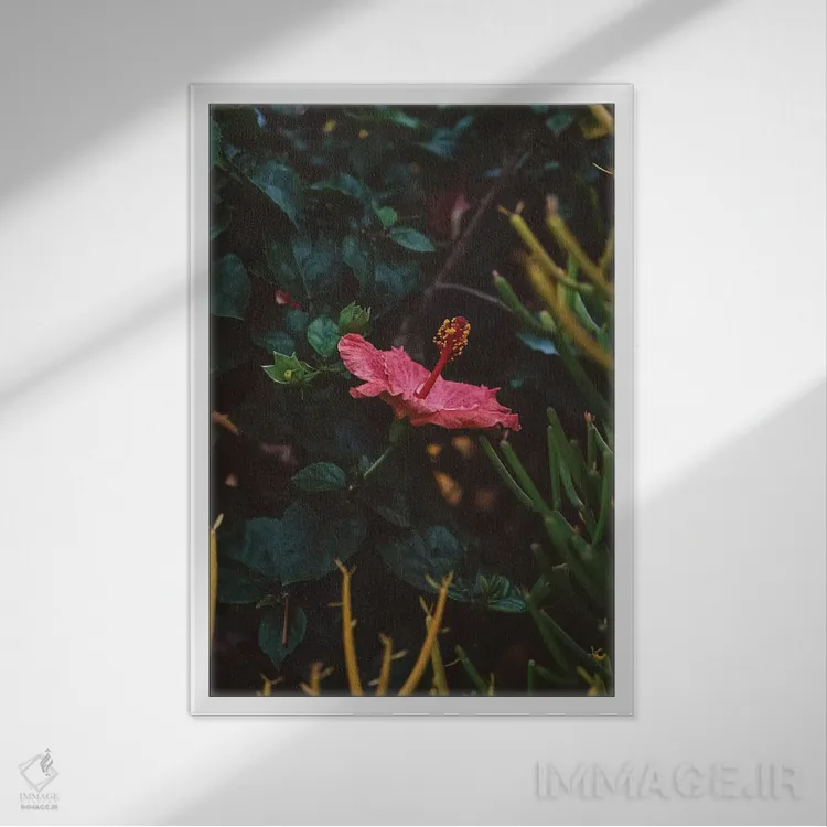 تابلو شکوفه کالیفرنیا اثر بثانی یانگ - نمای قابدار سفید