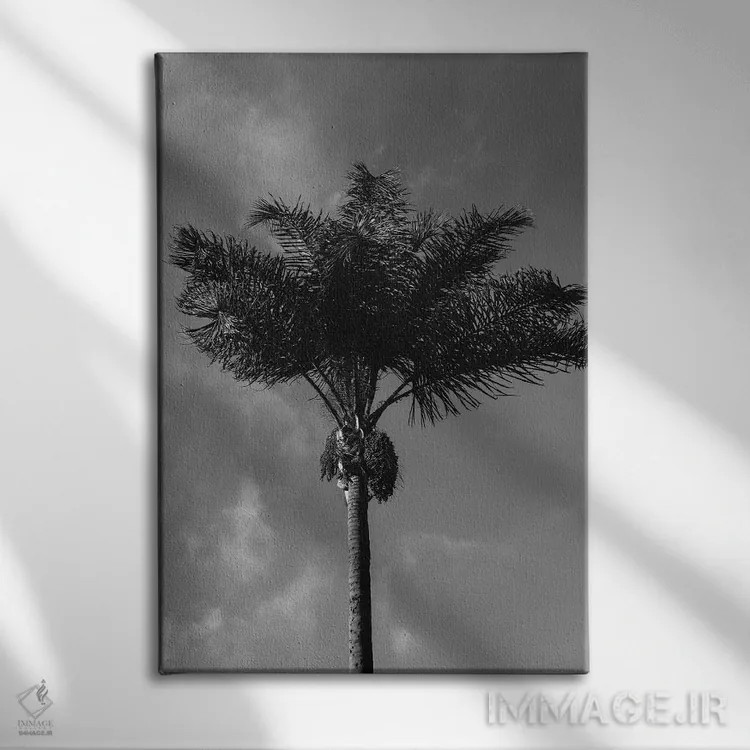 تابلو نخل سیاه و سفید اثر بثانی یانگ - نمای روبهرو روی دیوار