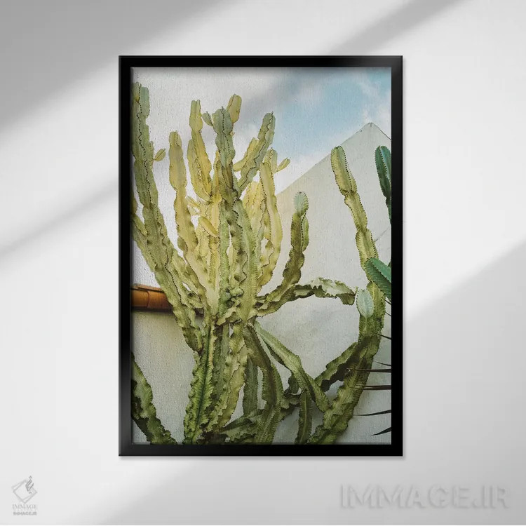 تابلو کاکتوس کالیفرنیا اثر بثانی یانگ - نمای قابدار مشکی