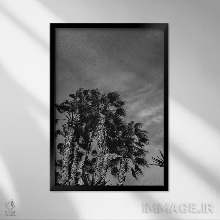 تابلو آسمان سیاه و سفید کالیفرنیا اثر بثانی یانگ - نمای قابدار مشکی