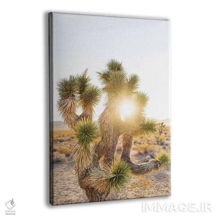 تابلو طلوع بیابان نوادا دوم اثر بثانی یانگ - نمای پرسپکتیو محصول