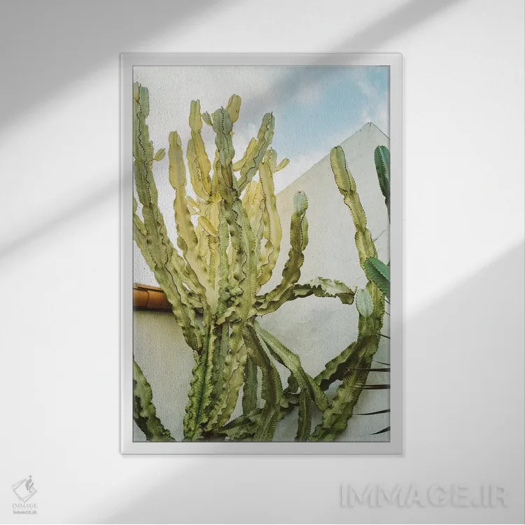 تابلو کاکتوس کالیفرنیا اثر بثانی یانگ - نمای قابدار سفید