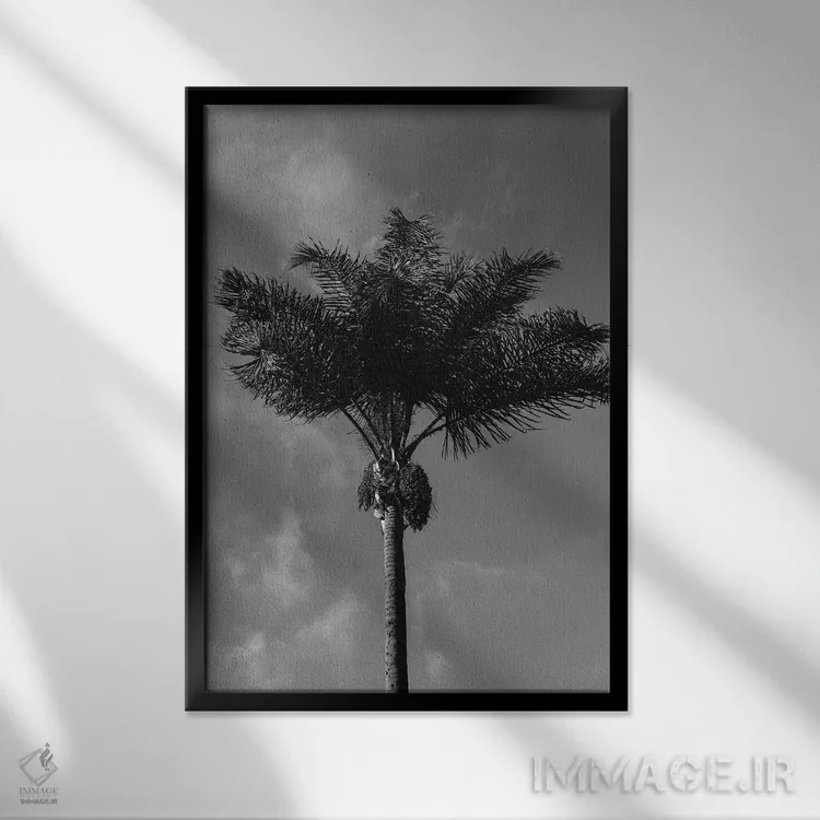 تابلو نخل سیاه و سفید اثر بثانی یانگ - نمای قابدار مشکی